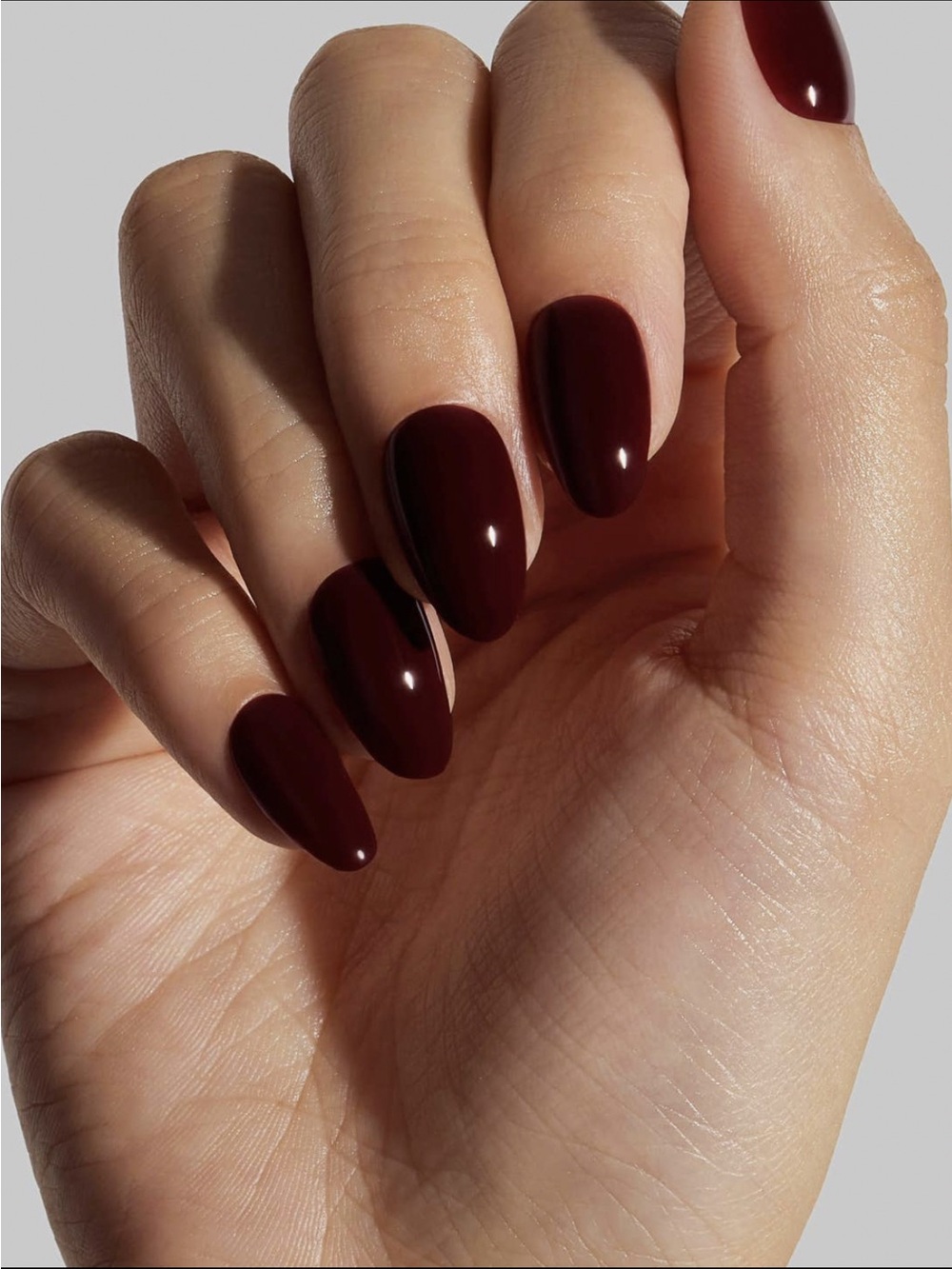 Celebritips Black Honey Short Almond Press On Nails NIB